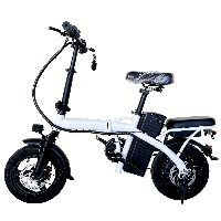 VIP Buddy Factory Wholesale  Mini Size Folding Electric Bicycle 500W 48V 14 Inch Electric City Bike Foldable LED Display Electric Bike (VIP-SDJ06)