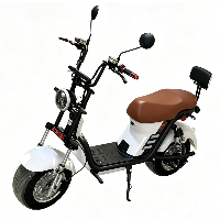 Best Selling New Brazil Model Citycoco Electric Scooter 2-Wheel 1000W Wide-Tire Scooter 60V 20Ah 200kg Capacity (VIP-EB0HL)