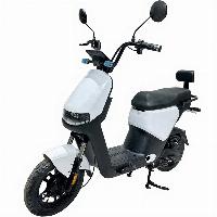 Popular 48V 1000W Brushless Electric Bicycle Smart Motorcycle for Adults Newly Upgraded Double-large Seat Cushion (VIP-EB0XT)
